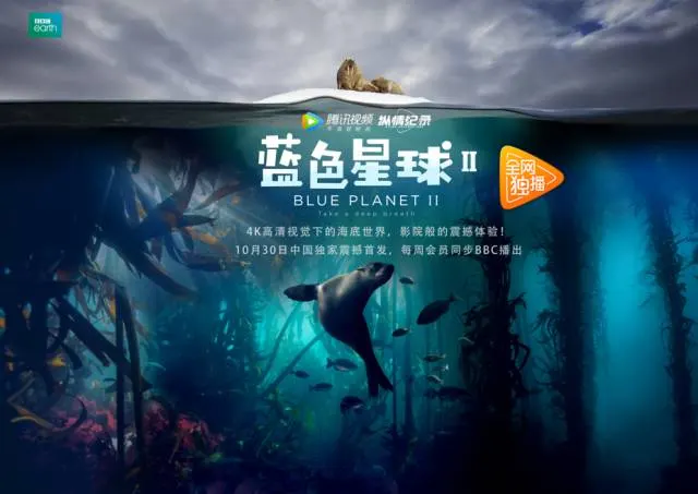 琪琪在线影院电视剧免费剧照2